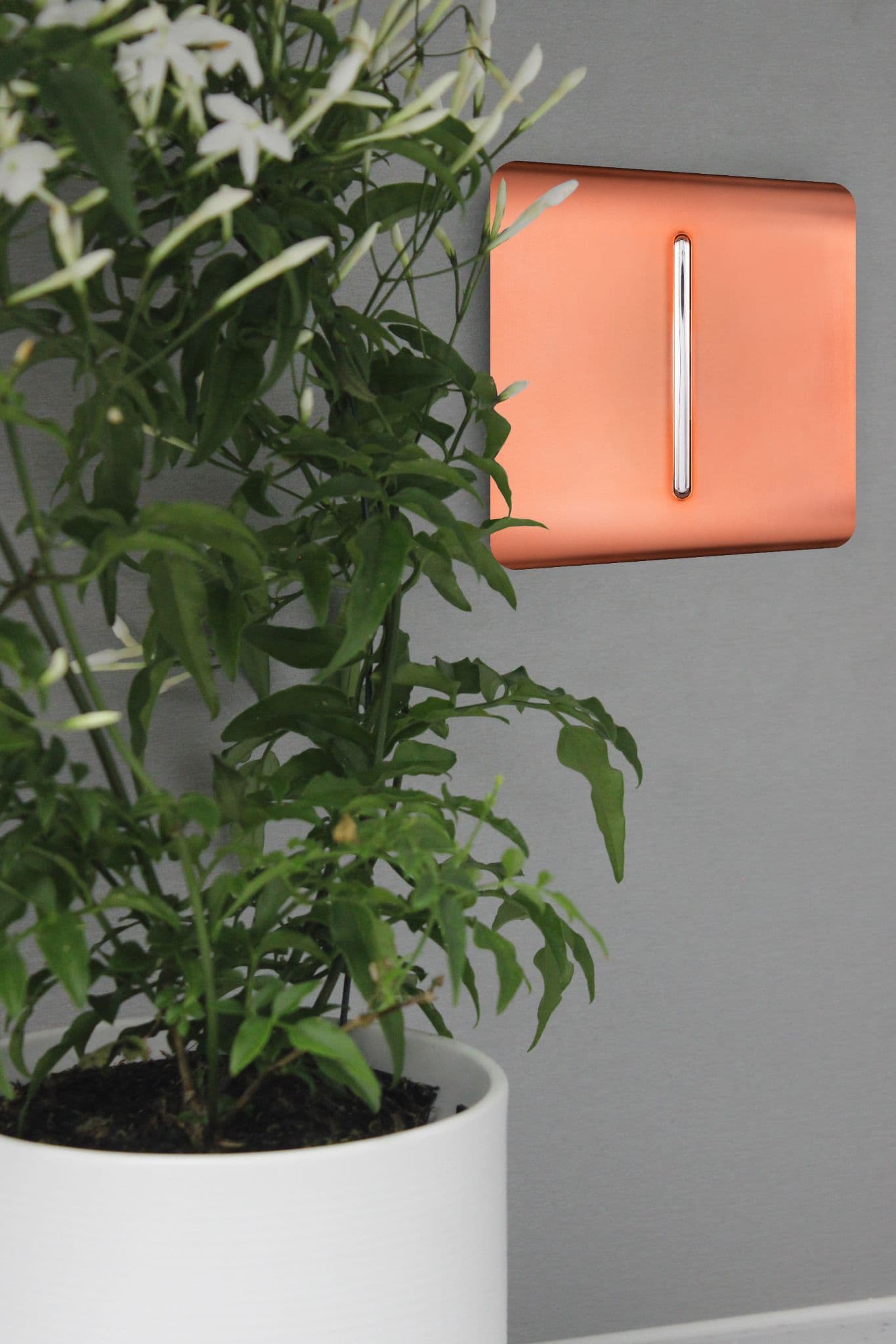 Copper Wiring Accessories Trendi Decorative Screwless Copper Wiring Accessories Trendi Decorative Screwless